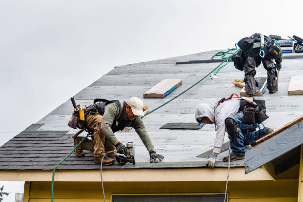 Professional Roofing technician working in Winston, OR